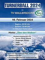 Logo Turnerball 2024