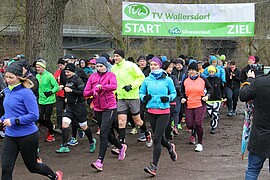 Banner Silvesterlauf 2019