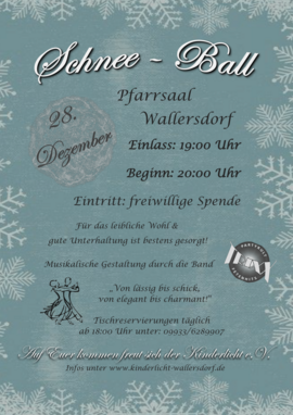 Banner 1. Wallersdorfer Schnee-Ball